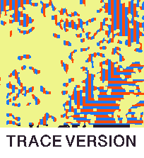 Rug Design VL 006