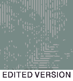 Rug Design VL 006