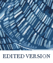 Rug Design VL 003