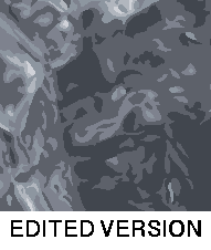 Rug Design VL 005
