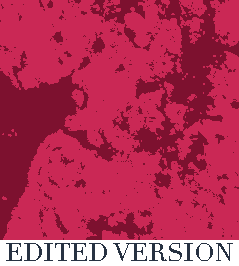 Rug Design VL 013