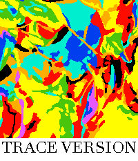 Rug Design VL 014