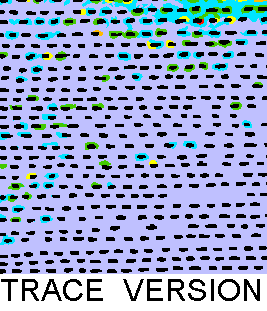 Rug Design VL 024