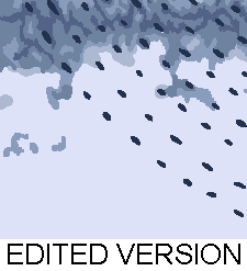 Rug Design VL 025