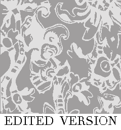 Rug Design VL 027