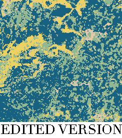 Rug Design VL 031