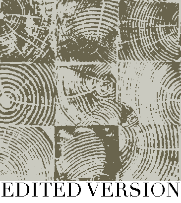Rug Design VL 032