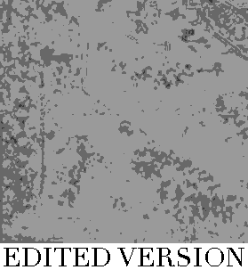 Rug Design VL 036