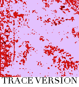 Rug Design VL 036