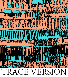 Rug Design VL 043