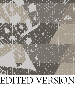 Rug Design VL 049
