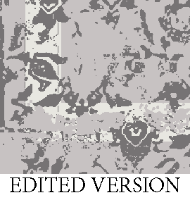 Rug Design VL 050