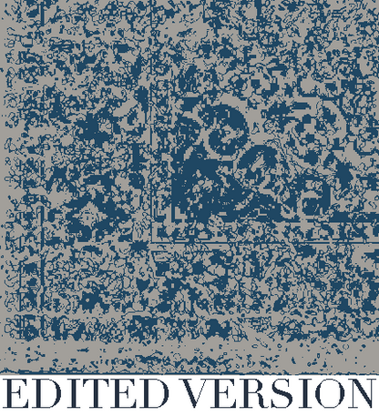 Rug Design VL 016