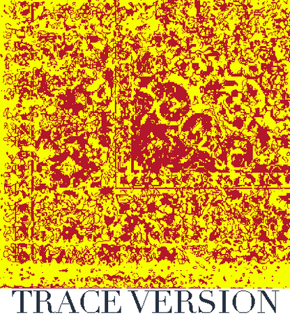 Rug Design VL 016