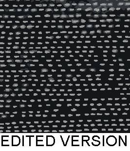 Rug Design VL 024